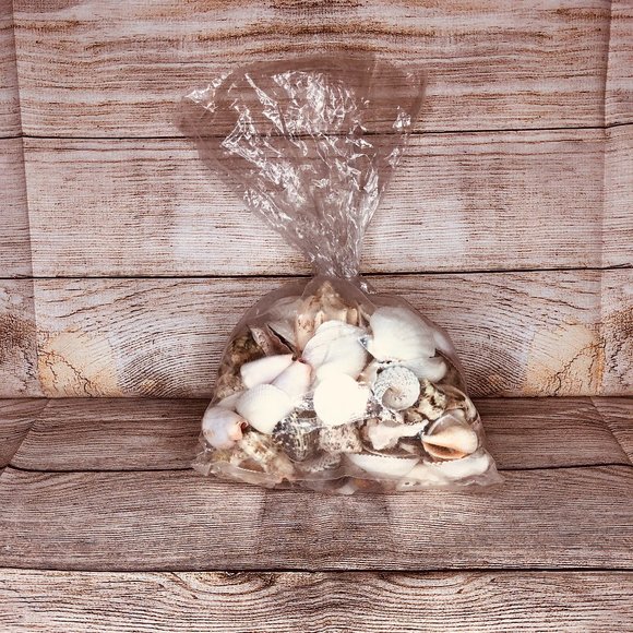 Large Assortment of Seashells - Picture 3 of 3